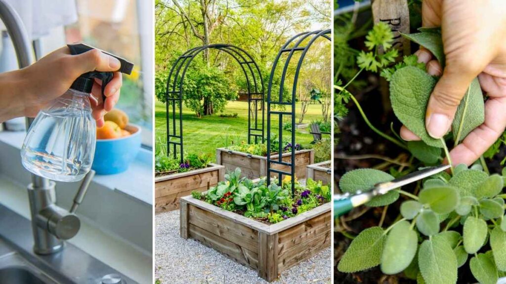 Indoor Herb Garden Setup: A Beginner’s Guide