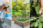 Indoor Herb Garden Setup: A Beginner’s Guide