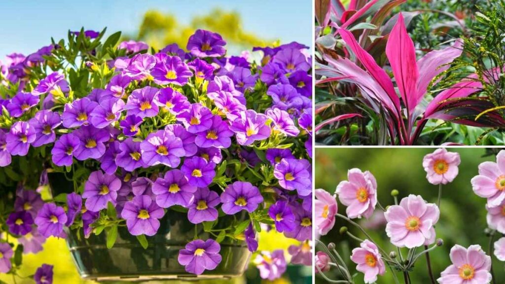 Low-Maintenance Plants That Practically Grow Themselves