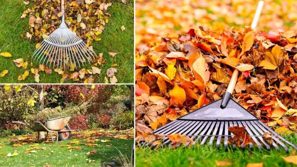 How to Prepare Your Garden for October: Top Tasks You Must Do