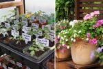 Top 5 Nursery Plans to Kickstart Your Winter Garden