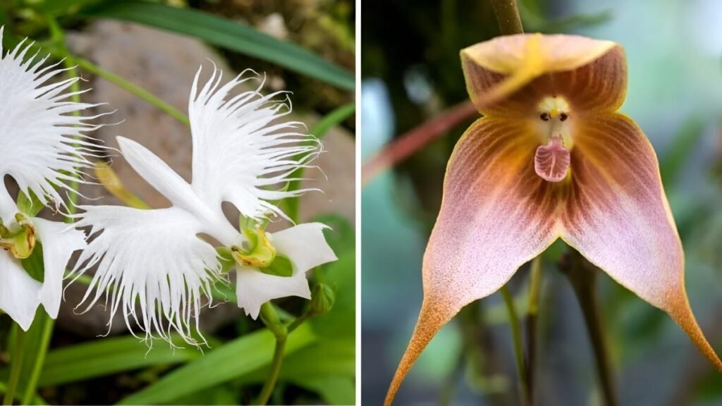 Top 7 Interactive Plants and Why They Behave Like Living Creatures