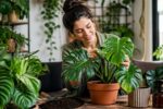 Monsteroideae Care Guide: How to Grow Thriving Tropical Plants